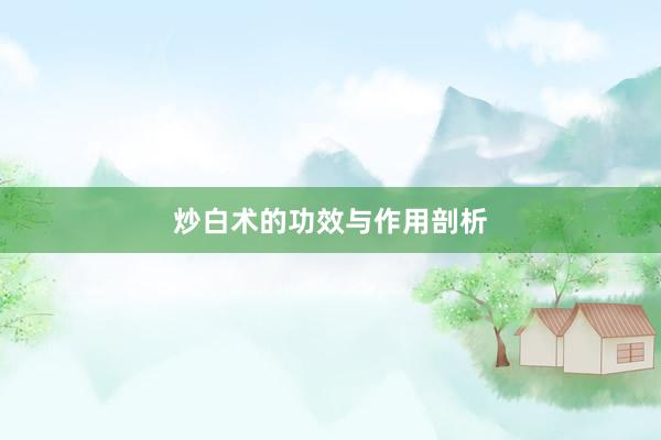 炒白术的功效与作用剖析