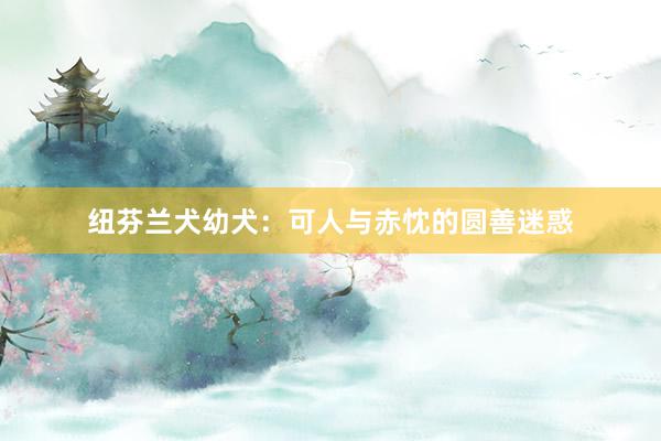 纽芬兰犬幼犬:可人与赤忱的圆善迷惑