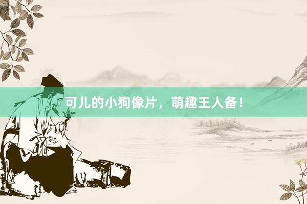 可儿的小狗像片，萌趣王人备！