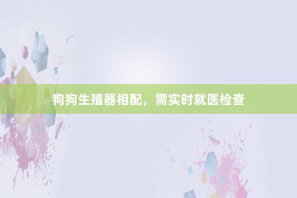 狗狗生殖器相配,需实时就医检查