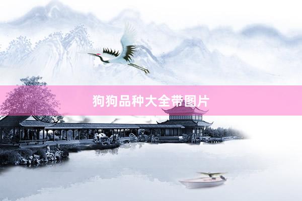 狗狗品种大全带图片