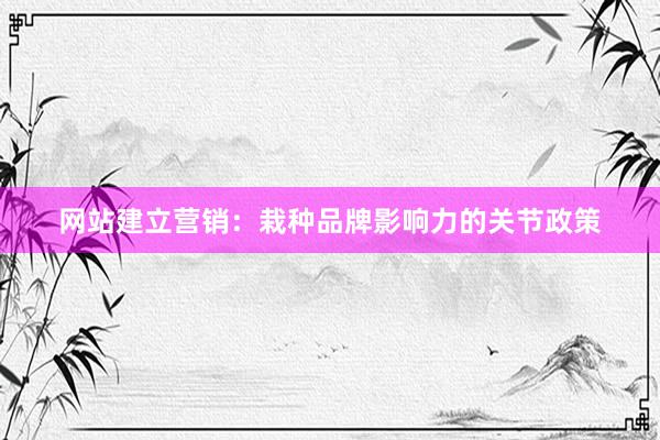 网站建立营销：栽种品牌影响力的关节政策